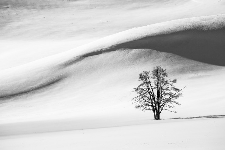 snow-dunes-1235372_1280.jpg